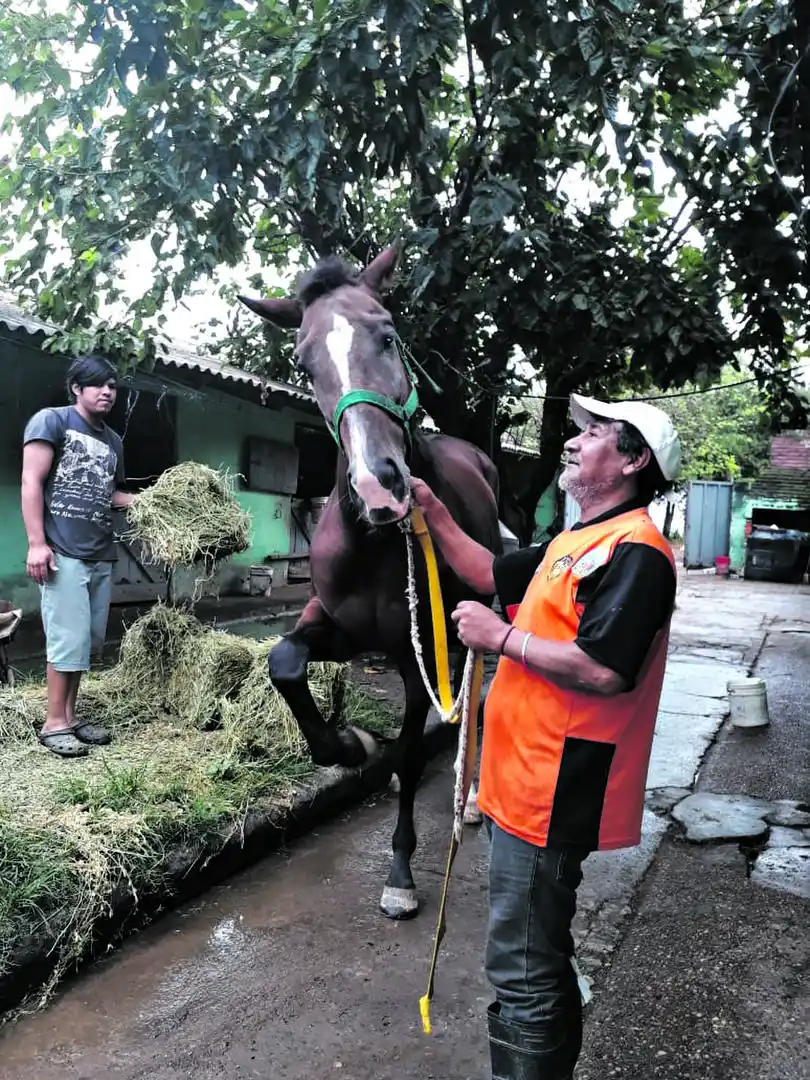 PEÓN. Roberto “Palín” Guerra, luego de sacar a entrenar a uno de sus pupilos. 