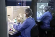 Coronavirus: procesan las primeras 18 muestras en Tucumán
