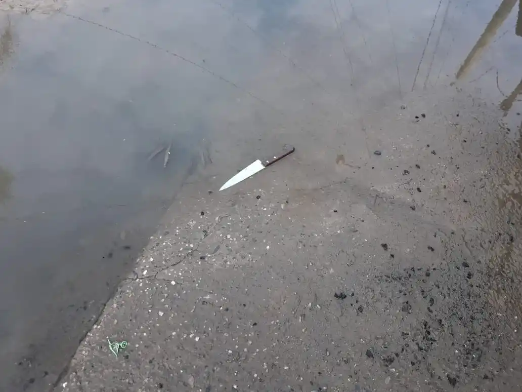 El arma utilizada por el asesino Luis Martínez.