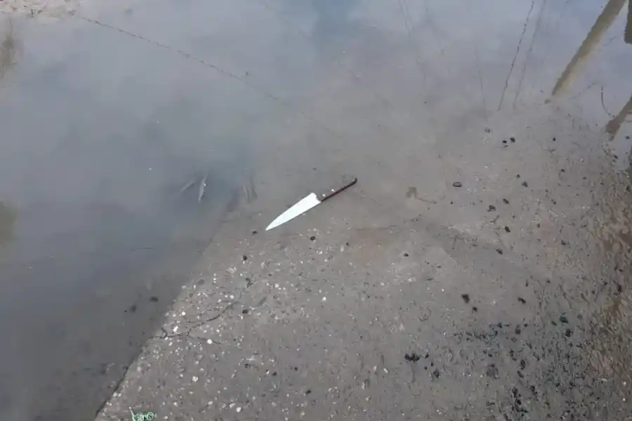 El arma utilizada por el asesino Luis Martínez.