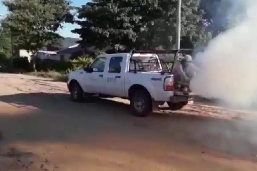 PREVENCIÓN. La fumigación ayuda a eliminar mosquitos adultos.