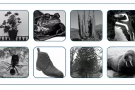 Educación en tiempos del coronavirus: la escuela es la casa