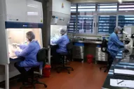 Murió una mujer de 61 años, la cuarta víctima del coronavirus en Tucumán