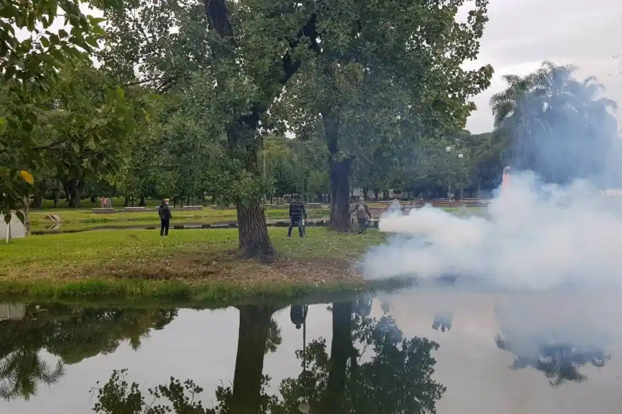 Cómo combaten el dengue en los espacios públicos de la capital