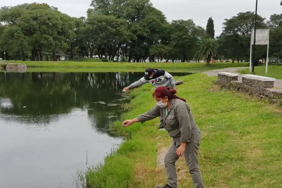 Cómo combaten el dengue en los espacios públicos de la capital