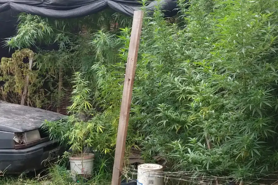 Secuestraron gran cantidad de droga y detuvieron a tres integrantes del Clan Acevedo