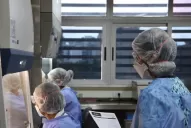 “Somos una célula del Malbrán en Tucumán”