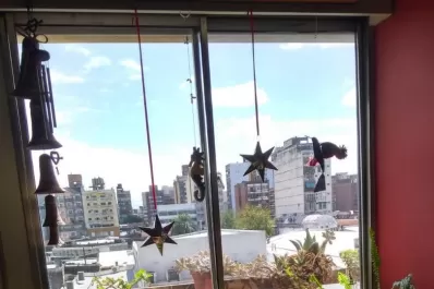 Dedicarte al bienestar de tus plantas le hará bien al tuyo