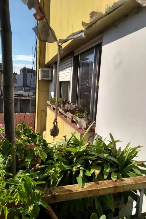 Dedicarte al bienestar de tus plantas le hará bien al tuyo