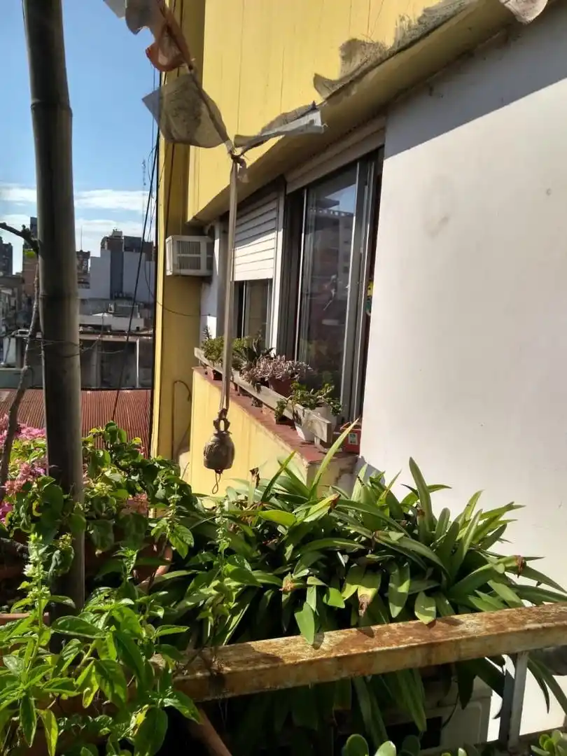 Dedicarte al bienestar de tus plantas le hará bien al tuyo