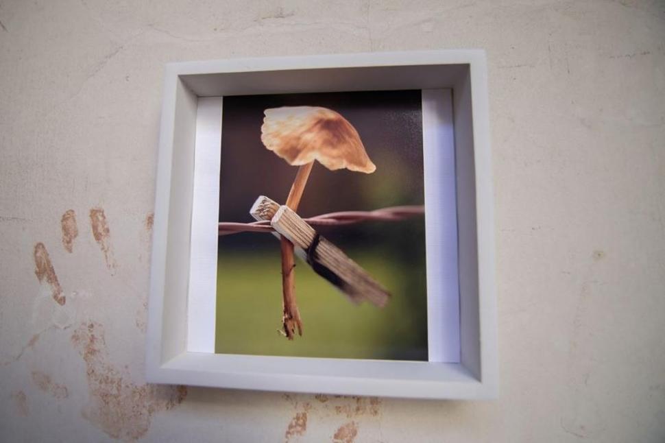 VENDIDA. Esta fue la obra que el artista subastó la semana pasada.