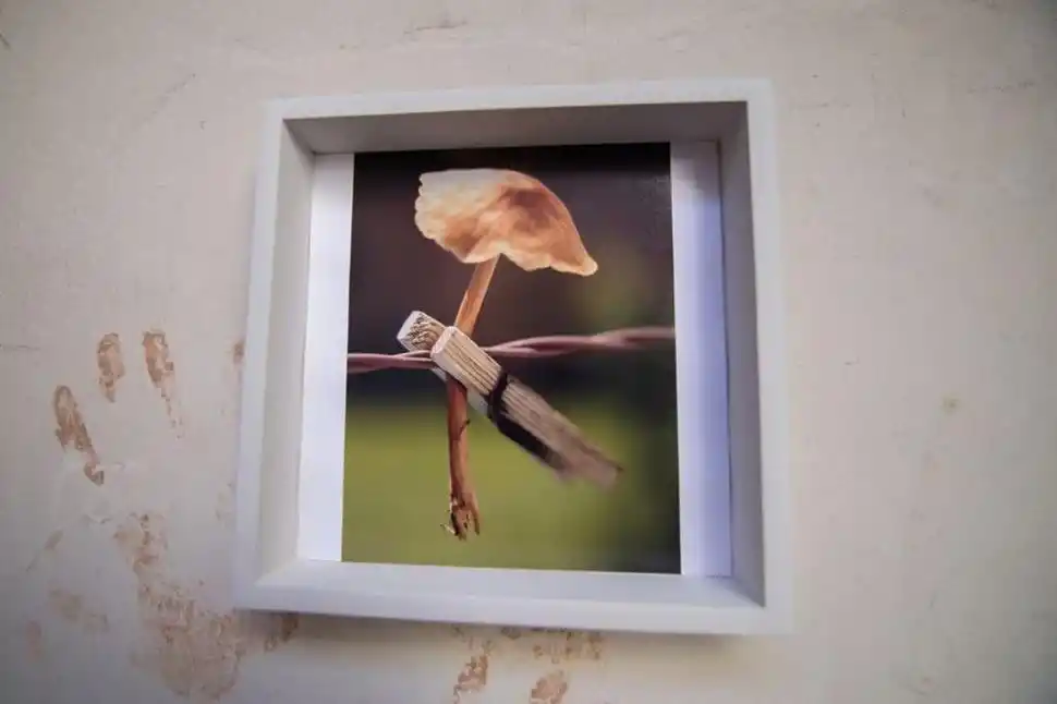 VENDIDA. Esta fue la obra que el artista subastó la semana pasada.