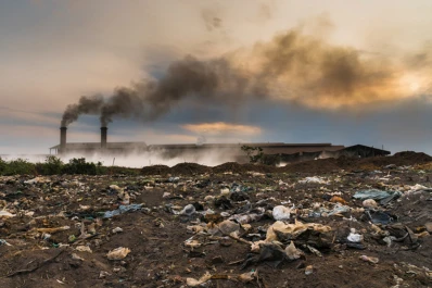 Contaminación: hay una “relación directa” entre coronavirus y daño ambiental