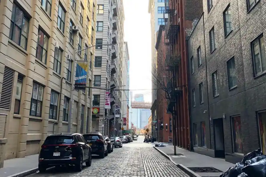 GRIS. Así describe hoy Nueva York, González Garaño. No vuela una mosca en la ciudad.