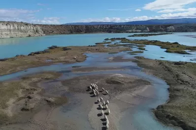 Ocho documentales online para pensar la ecología