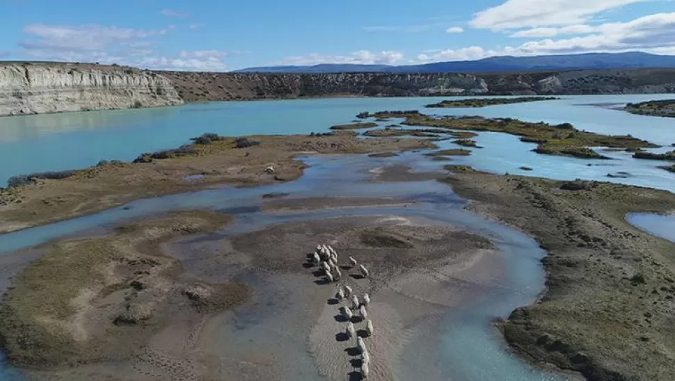 “MATAR AL RÍO”. Denuncia sobre un proyecto que amenaza al Santa Cruz, último río glaciar libre del sur. 