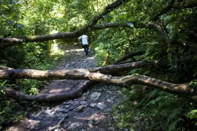 Hoy, en LA GACETA Central: el impacto que está teniendo la cuarentena en el medioambiente