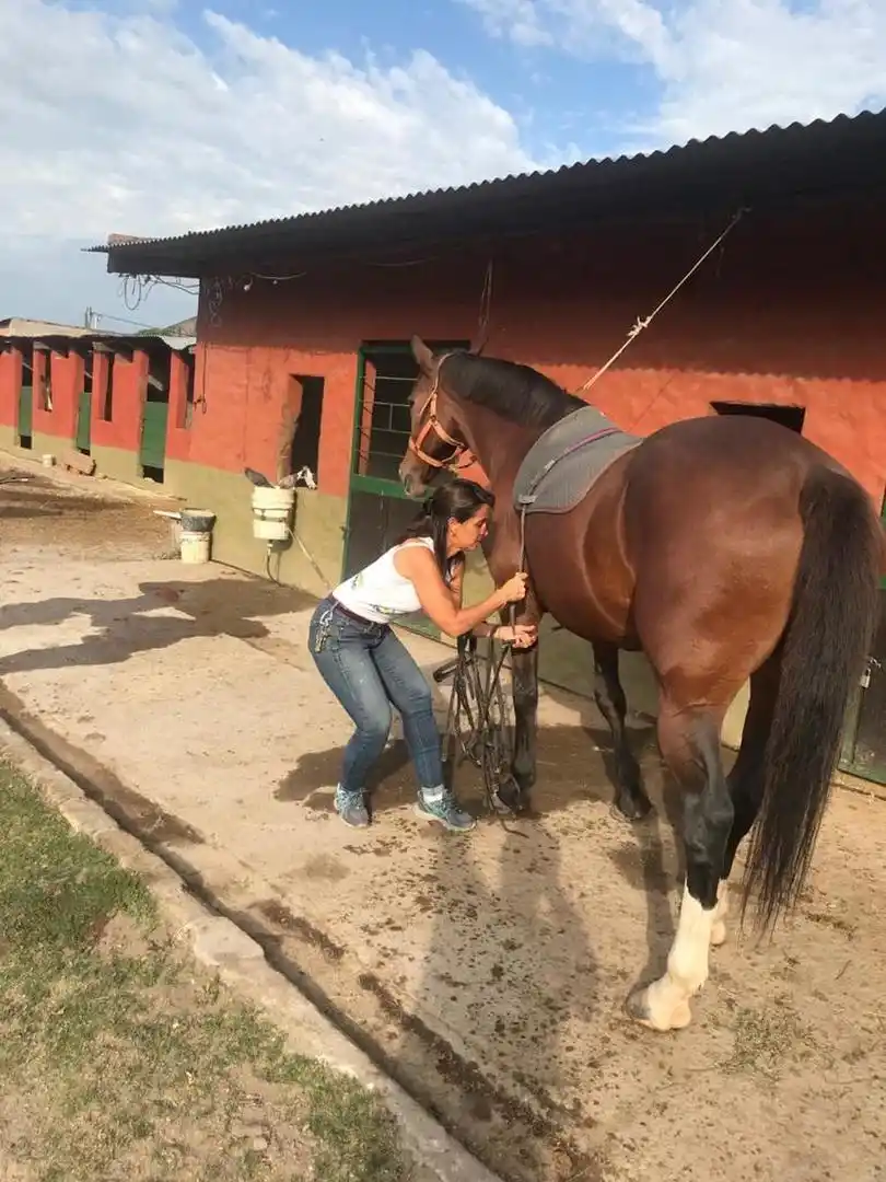 PREPARACIÓN. Verónica alista a su pupilo antes de comenzar la práctica. 