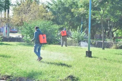 San José y el barrio 11 de Marzo, de la capital, son las zonas rojas del dengue
