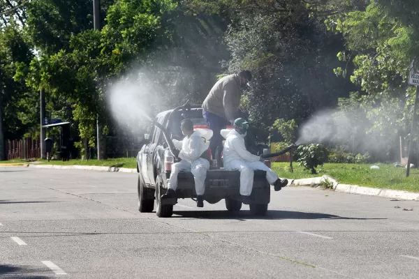 Tucumán tiene casi 700 casos de dengue: cuáles son las zonas calientes de propagación