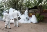 Contra el dengue: legisladores promueven dos días de fumigación en todo Tucumán