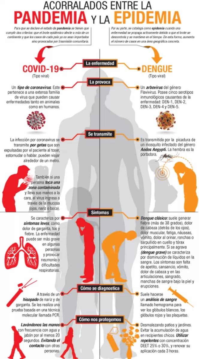 Cómo diferencias los síntomas de coronavirus y de dengue