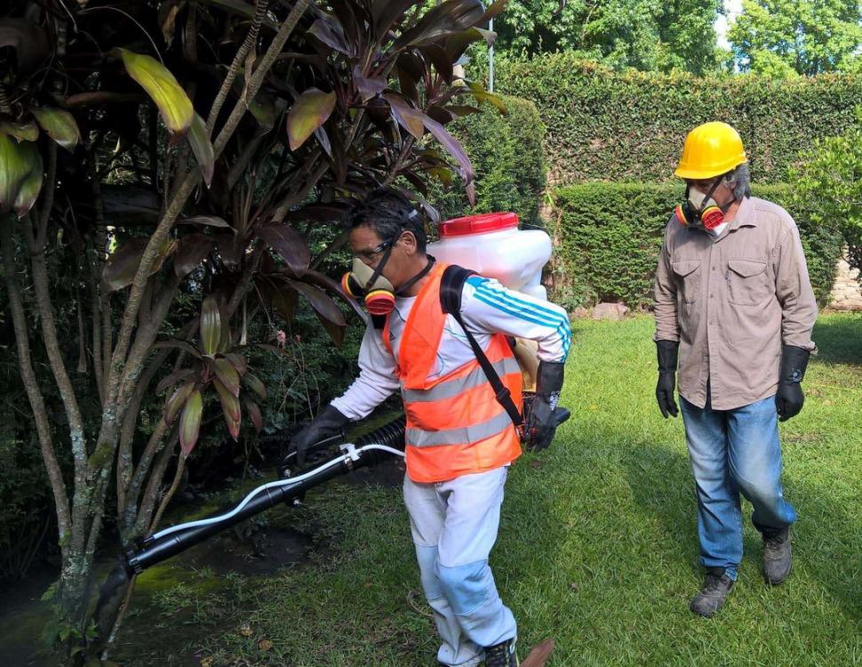 Exámenes exhaustivos para diagnosticar dengue en Tucumán