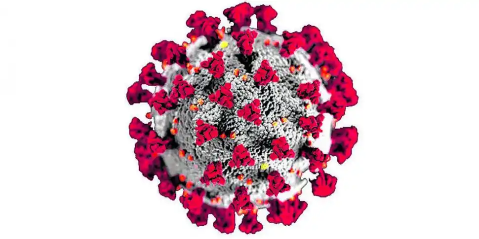 En Tucumán exceptúan la odontología de urgencia desde esta semana