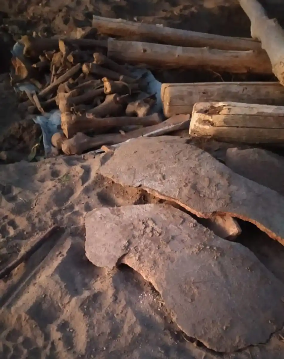 RESTOS ÓSEOS. El dueño de casa llamó a la Policía para dar aviso del hallazgo.