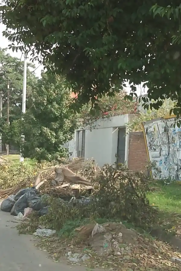 Basurales y restos de árboles en las veredas, la preocupación de los tucumanos de distintos puntos de la capital
