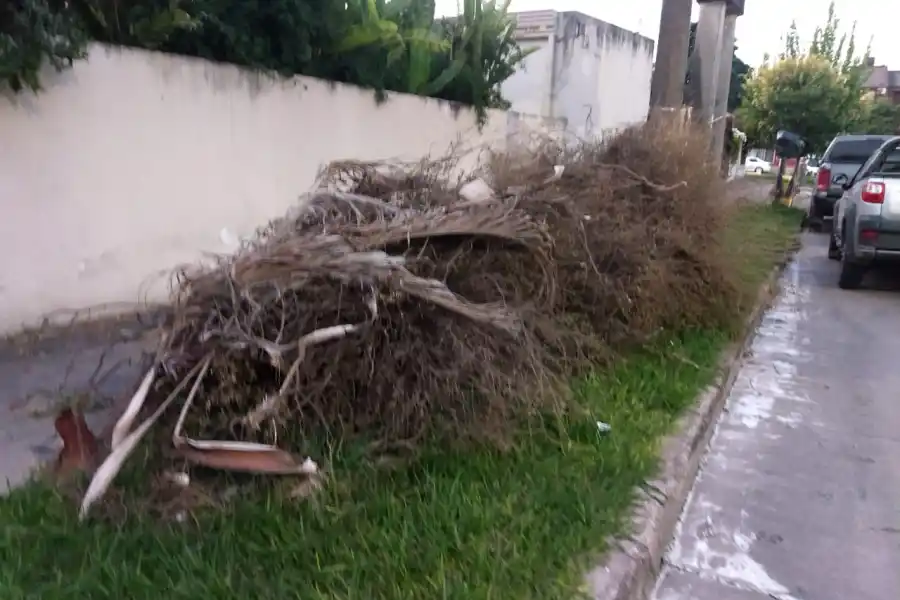 Basurales y restos de árboles en las veredas, la preocupación de los tucumanos de distintos puntos de la capital