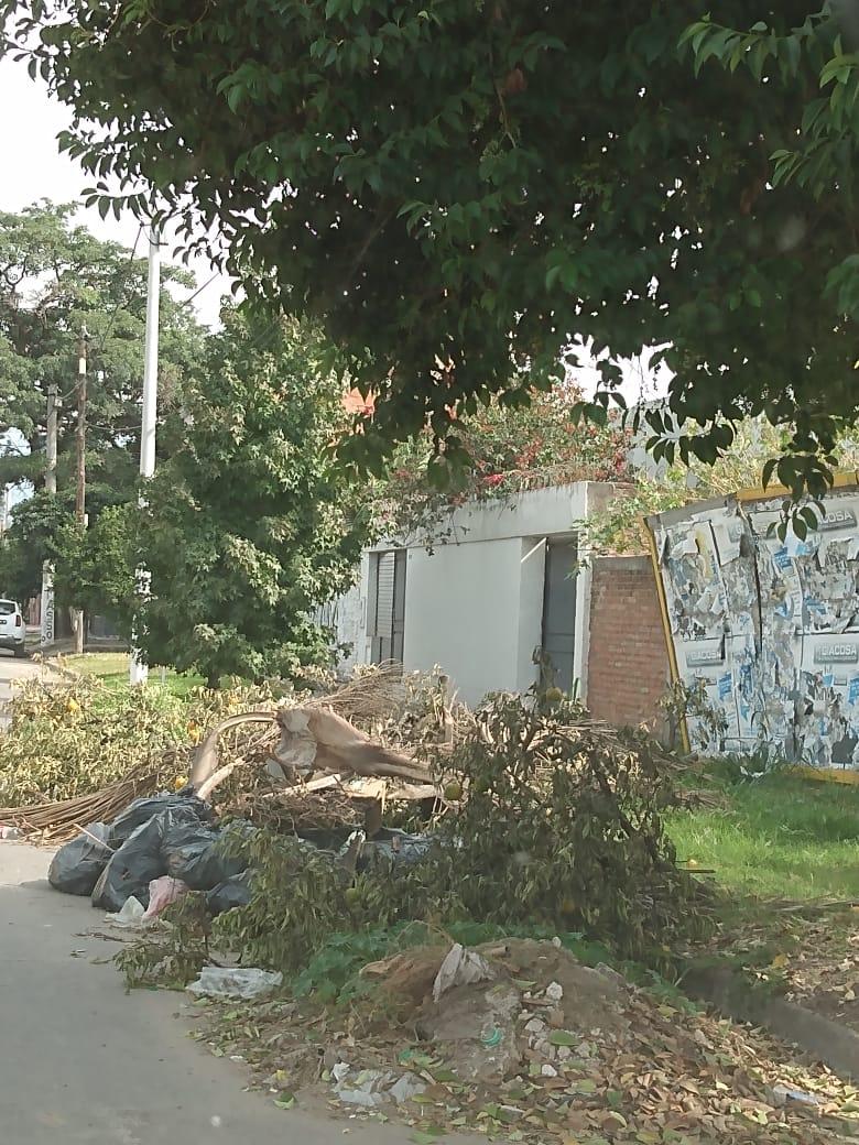 Basurales y restos de árboles en las veredas, la preocupación de los tucumanos de distintos puntos de la capital