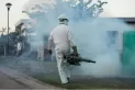 Tucumán superó los 4.000 casos de dengue y la epidemia no se detiene