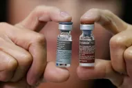 Dengue: ¿por qué todavía no se aplica una vacuna contra la epidemia?