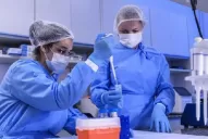 Argentina marcó un récord de contagios: 240 nuevos positivos en un día