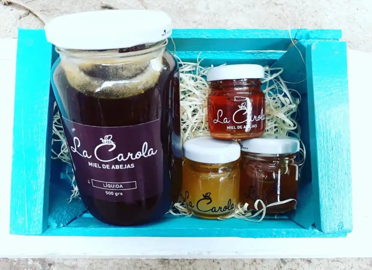 Una apicultora de El Timbó busca reanudar sus ventas en la ciudad 