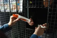 La cifra de contagiados por dengue subió a 1.733 en todo Tucumán