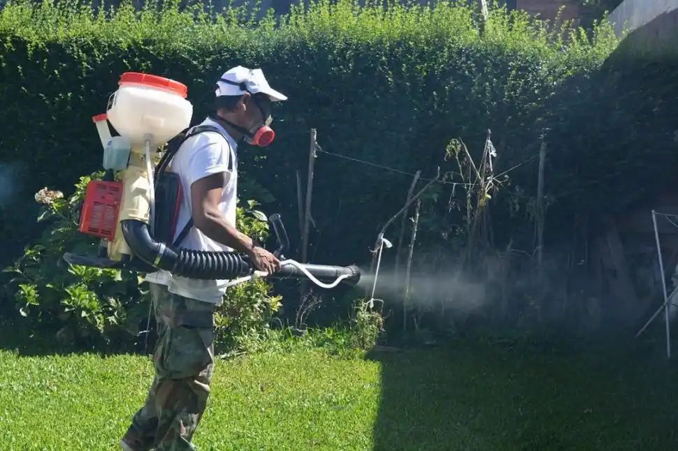 PLANIFICACIÓN. Las tareas de fumigación se hacen según las necesidades.