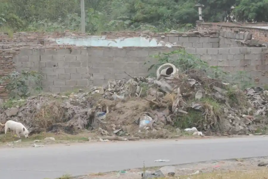 LIMPIEZA. Todo objeto que pueda acumular agua es un criadero del Aedes aegypti. 