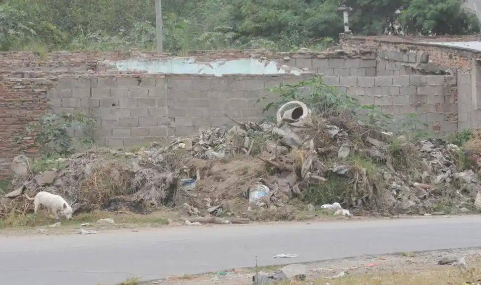 LIMPIEZA. Todo objeto que pueda acumular agua es un criadero del Aedes aegypti. 