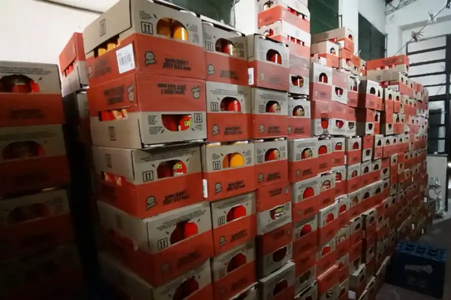 Recuperan un cargamento millonario de papas fritas que habían robado piratas del asfalto