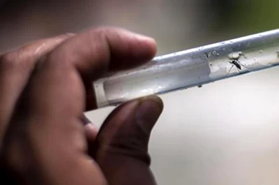 Municipios de Jujuy retirarán de las casas elementos que sirvan de criadero de mosquitos