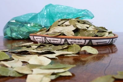 En Tucumán, las hojas de coca ahora son sólo un lujo para algunas personas