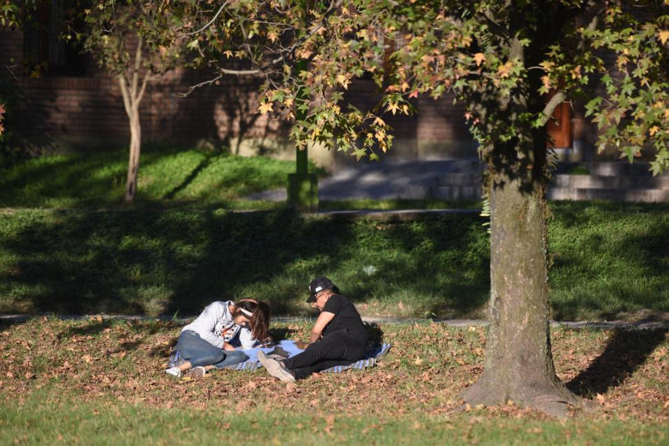 UN COLCHÓN DE HOJAS Y CÉSPED. Durante la mañana soleada, el parque Guillermina fue irresistible.