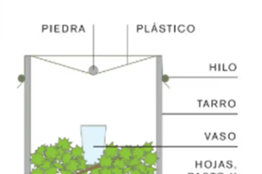 Educación en tiempos del coronavirus: la escuela es la casa