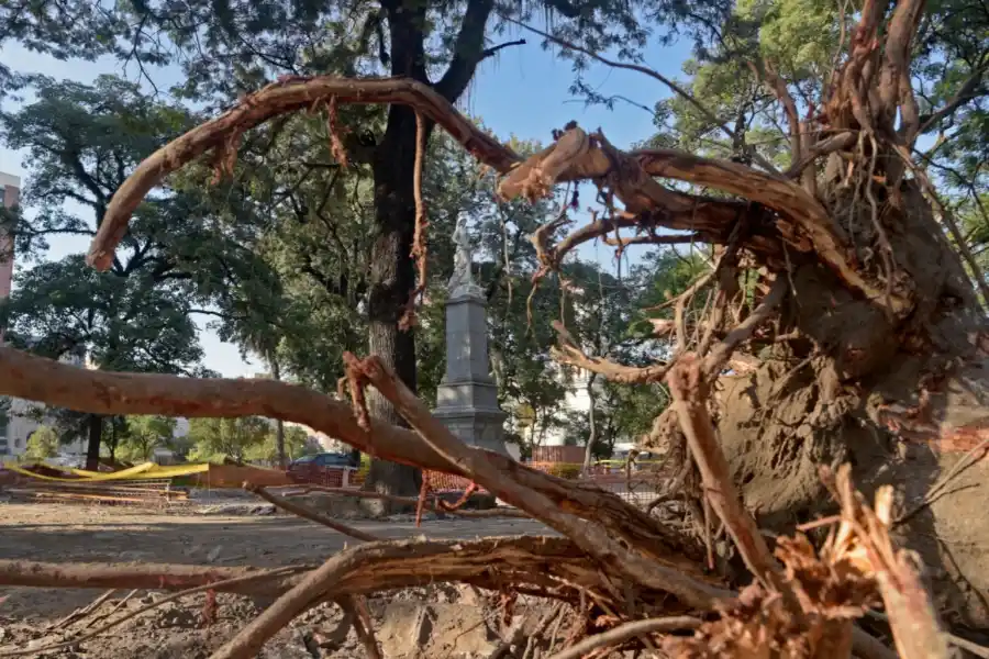 La plaza Independencia parece un campo minado, pero se reactivan las obras