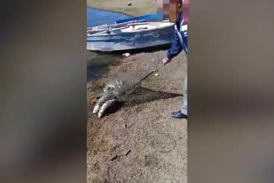 Pescaron de manera ilegal en El Cadillal violando la cuarentena y la veda