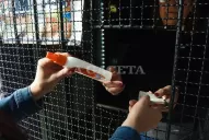 En Tucumán, el mosquito cambió el comportamiento: ya son 3.293 los infectados con dengue