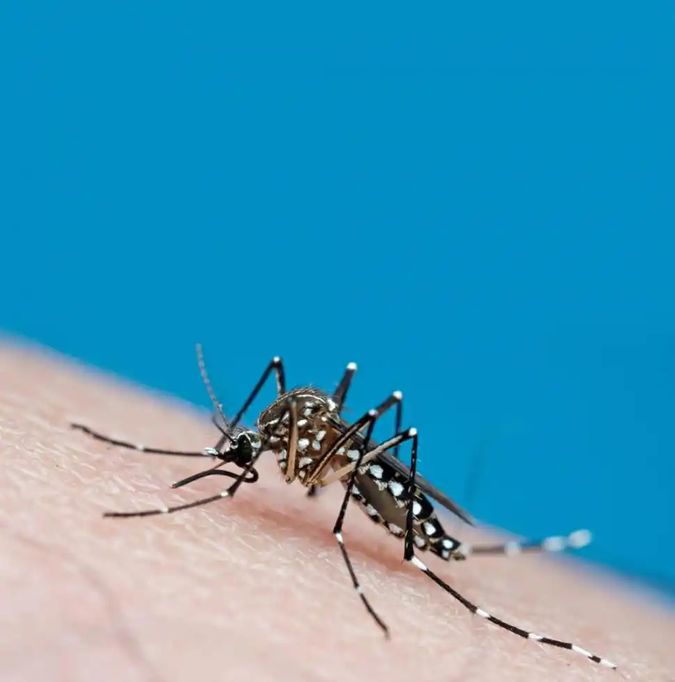 EN LA CASA. Romina Rocha junto a su hija de 14 años que también está con dengue. Dice que el dolor que causa la enfermedad es insoportable. 