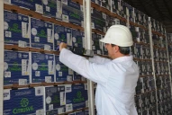 Campaña citrícola: Fernández destacó la labor conjunta público-privado